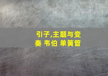 引子,主题与变奏 韦伯 单簧管